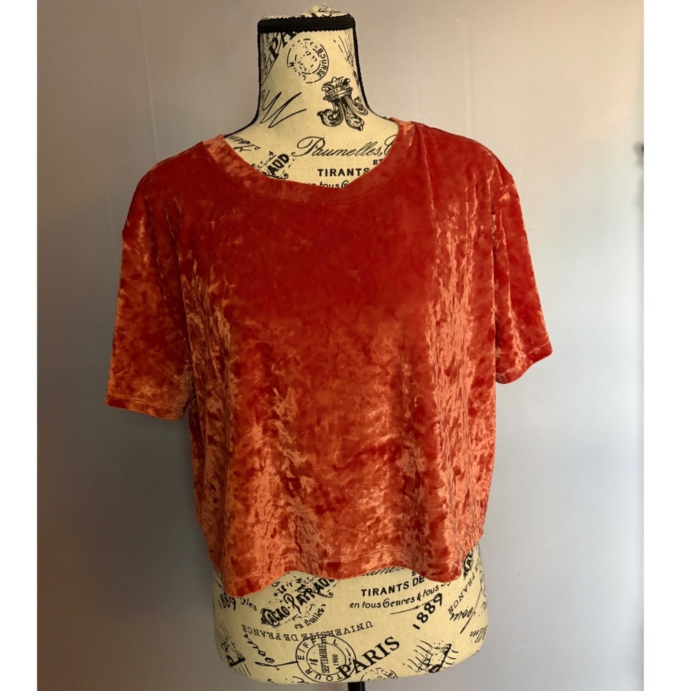 Aeropostale Womens Mauve Pink Crushed Velvet Short Sleeve Crop Top Size M Ballet